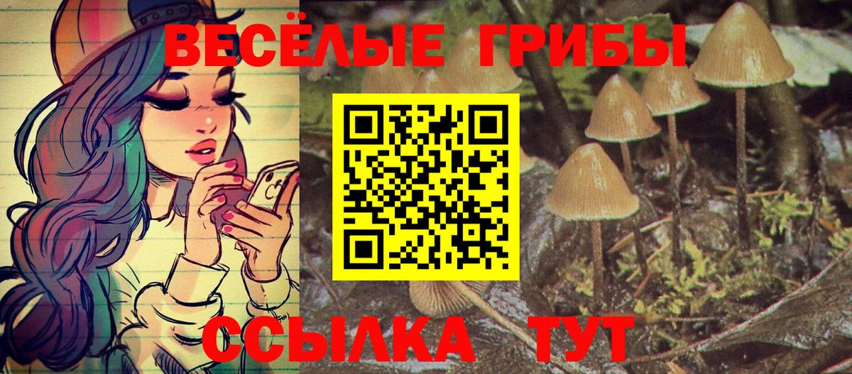 наркота  Псилоцибиновые грибы прущие грибы  Вход с VPN  Кумертау  Галлюциногенные грибы MAGIC MUSHROOMS 
